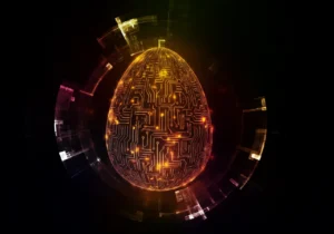 software egg